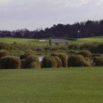 Orlando, Fl (USA) – November 19, 2012 – On Thursday, January 31, 2013, English Turn Golf & Country Club will host the “Celebrity Golf Invitational”. The event is a unique opportunity to not only play a championship golf course, but...