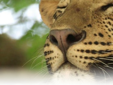 news_10 May. 27, 2013