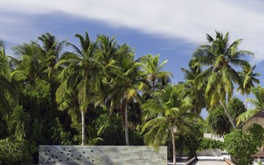 news_02 Jun. 15, 2013