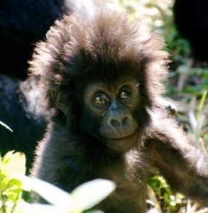 news_06 Jun. 09, 2013