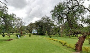 nairobi royal golf club kenya-golf-safaris