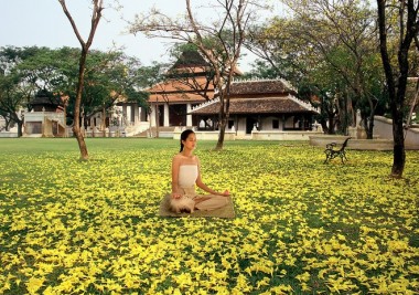 wellness-tourism-world-travel-index