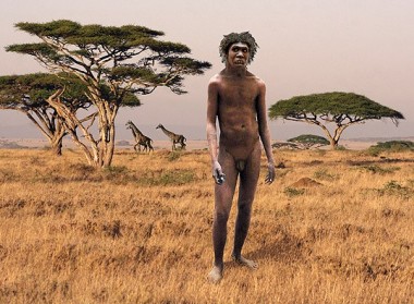 travelindex-hotels-travel-directory-1469