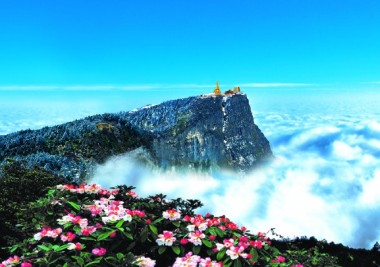 travelindex-hotels-travel-directory-1511