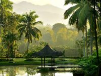 Asia’s 10 Top Spas & Wellness Retreats by Industry Expert