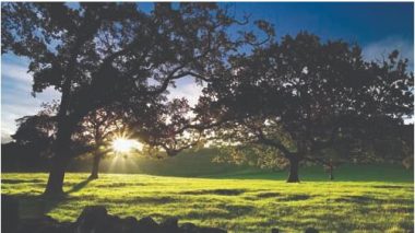 UNWTO: Sustainability Key Part of Tourism Policies, But More to Be Done - TRAVELINDEX