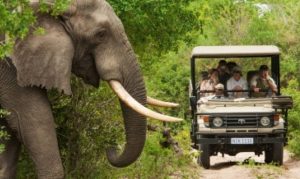 African Destinations Meet to Plan Sustainable Future for Tourism