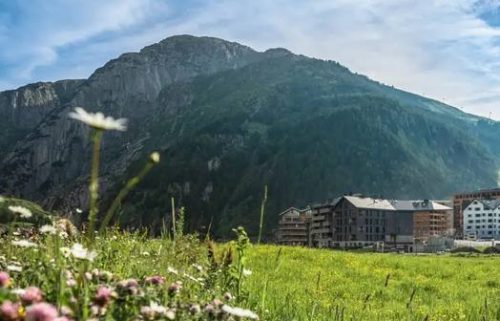 World Tourism Forum Lucerne Postpone its Innovation Festival - TRAVELINDEX