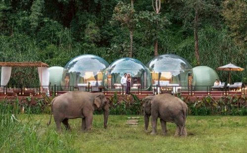 Anantara Golden Triangle Elephant Camp Launches Family Jungle Bubble Lodge - TRAVELINDEX