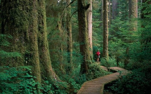 In Canada Doctors Can Now Prescribe a Visit to a National Park - TRAVELINDEX