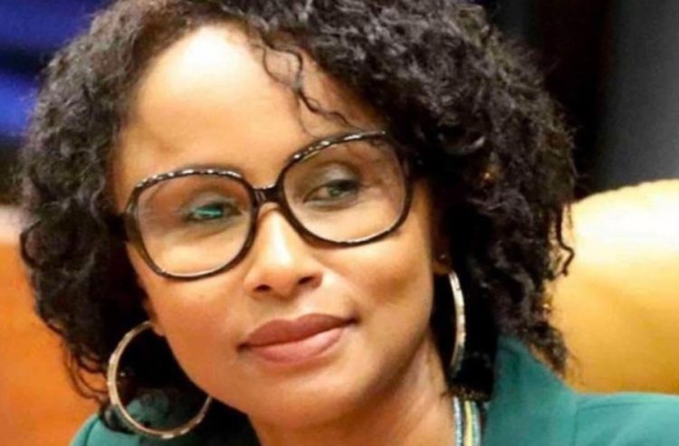 Comoros Islands Appoints Faouzia Vitry to Head a Special Purpose Vehicle - TRAVELINDEX